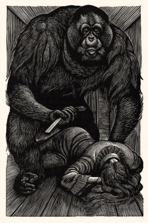 Los crímenes de la calle Morgue